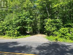 00 SIBERIA ROAD  Madawaska Valley, ON K0J 1B0
