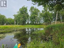 E 1/2 OF W 1/2 LT 28 CONCESSION 12 North Kawartha, ON K0L 1A0
