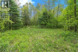372 HIGHWAY 24 Brantford, ON N3T 5L5
