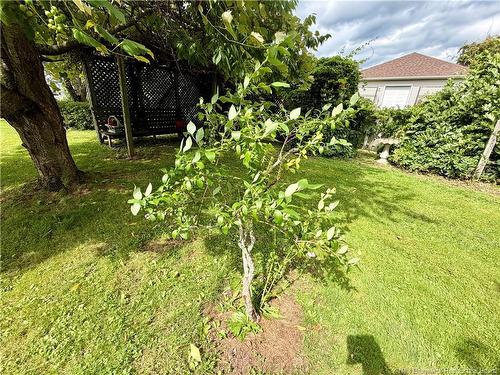 55 Harbour View Dr, Scoudouc Road, NB 