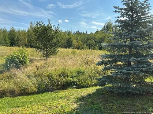 125 Monarch Rd, Riverview, NB 