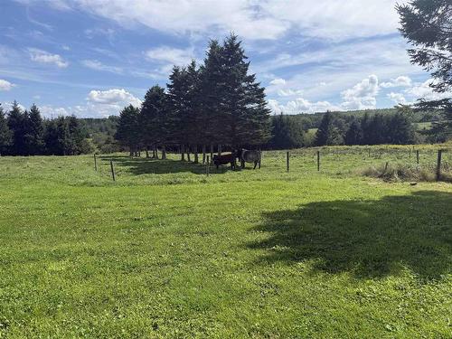 115 Canada Road, Brookvale, NS 