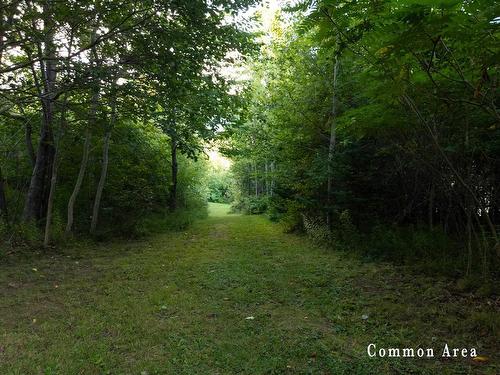 7 Colonial Arms Drive, Deep Brook, NS 