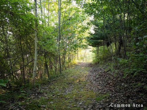 7 Colonial Arms Drive, Deep Brook, NS 