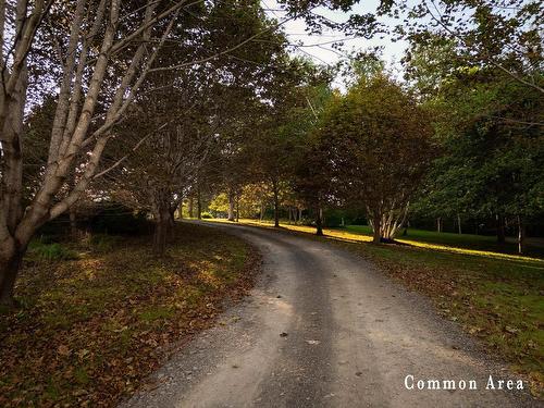 7 Colonial Arms Drive, Deep Brook, NS 