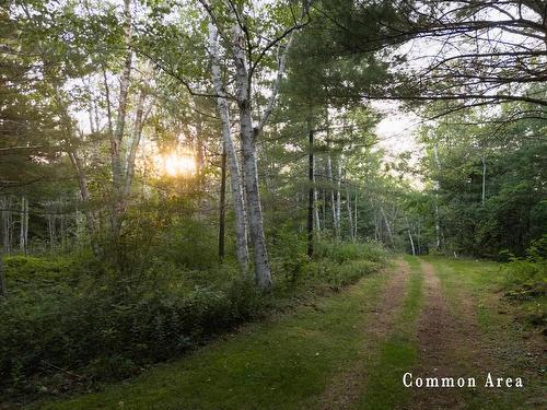 7 Colonial Arms Drive, Deep Brook, NS 