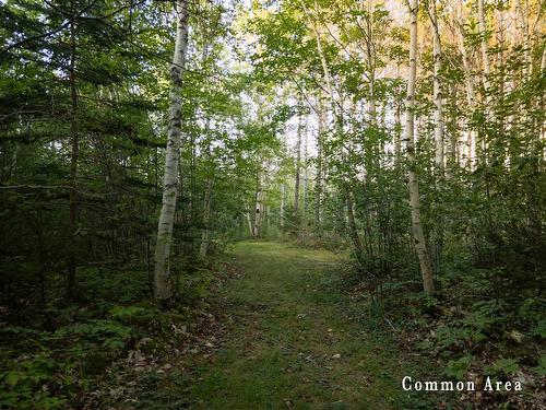 7 Colonial Arms Drive, Deep Brook, NS 