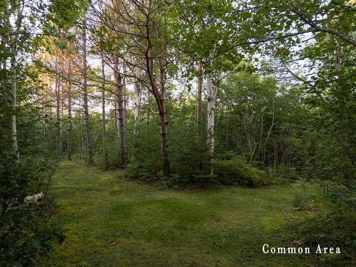 7 Colonial Arms Drive, Deep Brook, NS 