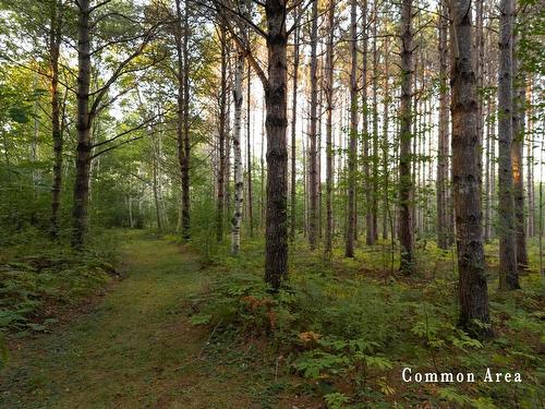 7 Colonial Arms Drive, Deep Brook, NS 