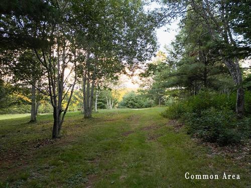 7 Colonial Arms Drive, Deep Brook, NS 