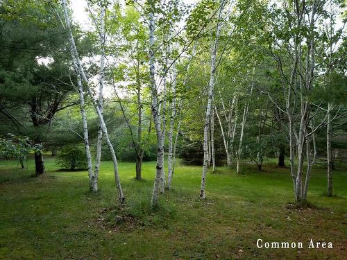 7 Colonial Arms Drive, Deep Brook, NS 