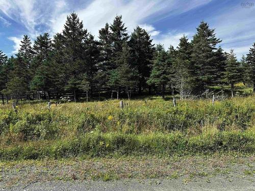 Sampson Road, L'Ardoise, NS 