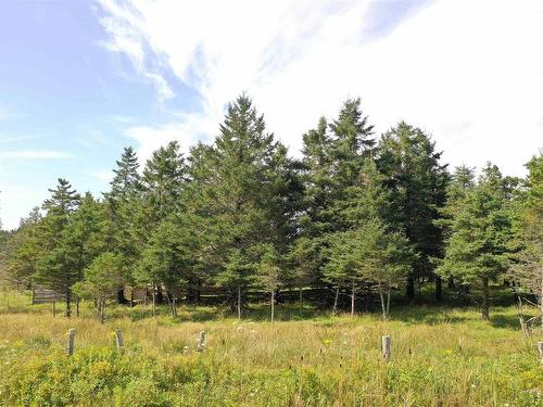 Sampson Road, L'Ardoise, NS 