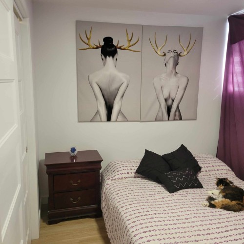 Chambre à coucher - 103-1360 Rue Principale, Saint-Roch-De-L'Achigan, QC 
