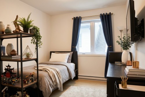Chambre à coucher - 40 10E Avenue, Deux-Montagnes, QC 