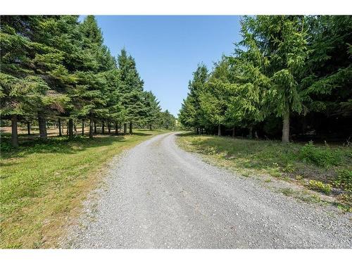 729 Route 260, Saint-Quentin, NB 