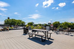 Patio - 