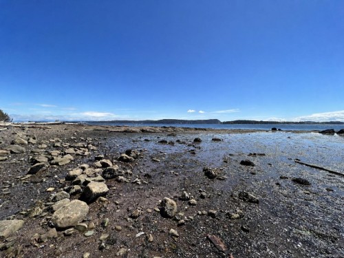 212 Captain Morgans Blvd, Protection Island, BC 