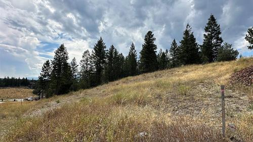 Lot 51 Cooper Road, Windermere, BC 