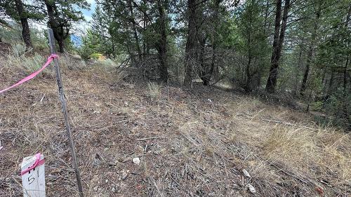 Lot 51 Cooper Road, Windermere, BC 