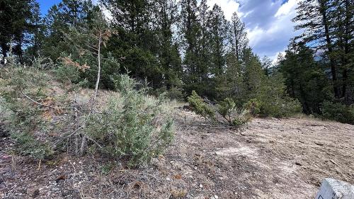 Lot 51 Cooper Road, Windermere, BC 