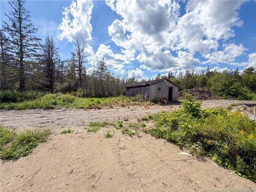 486 Route 635, Harvey, NB 