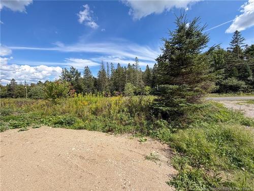 486 Route 635, Harvey, NB 