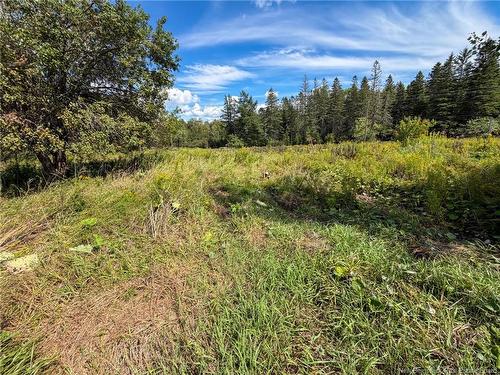 486 Route 635, Harvey, NB 