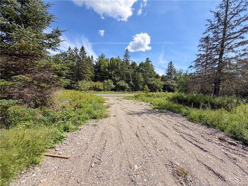 486 Route 635, Harvey, NB 