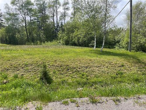 - Route 865, Cassidy Lake, NB 
