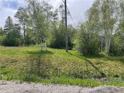 - Route 865, Cassidy Lake, NB 
