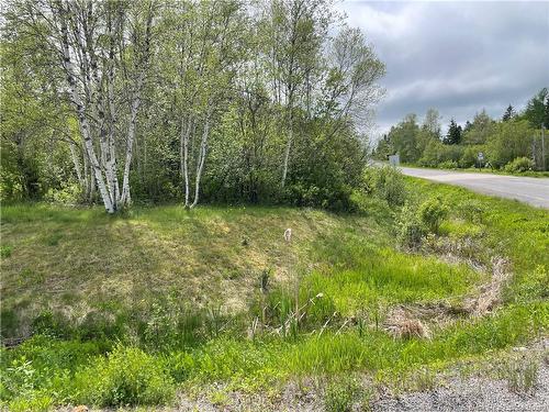- Route 865, Cassidy Lake, NB 