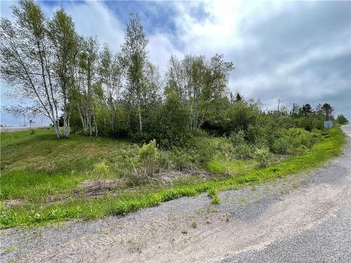 - Route 865, Cassidy Lake, NB 