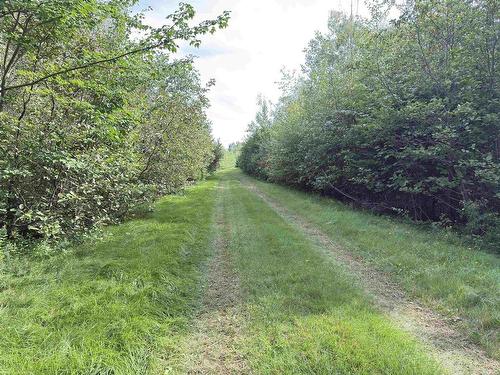 Fox Harbour Road, Fox Harbour, NS 