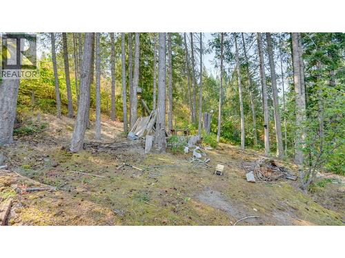 29 Preston Crescent, Enderby, BC 