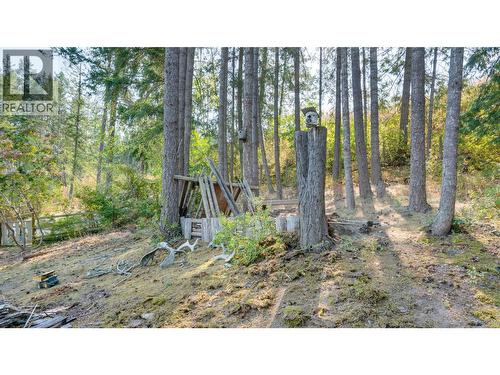 29 Preston Crescent, Enderby, BC 
