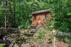 Back Shed - 
