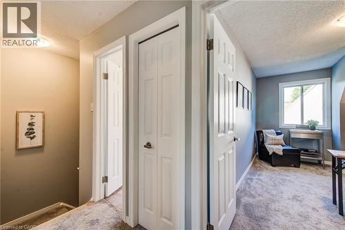 Carpeted hallway with painted walls, multiple paneled doors, and an overhead light fixture - 360 Cornridge Place Unit# 2, Waterloo, ON 