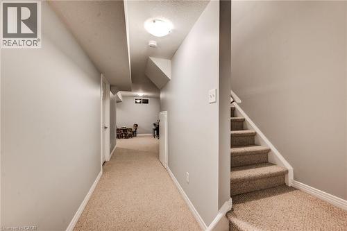 Carpeted staircase with white risers, leading to a hallway with neutral wall paint and carpet flooring - 360 Cornridge Place Unit# 2, Waterloo, ON 