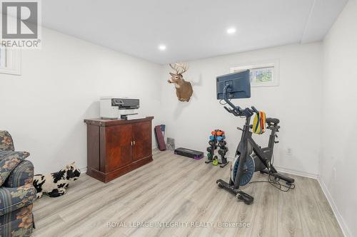 Lower Level Family Room - 4228 O'Neil Road, Ottawa, ON 