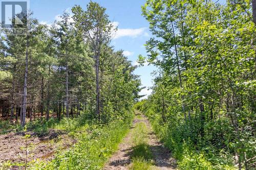 The road to the Hunting Camp & Back Fields - 4228 O'Neil Road, Ottawa, ON 