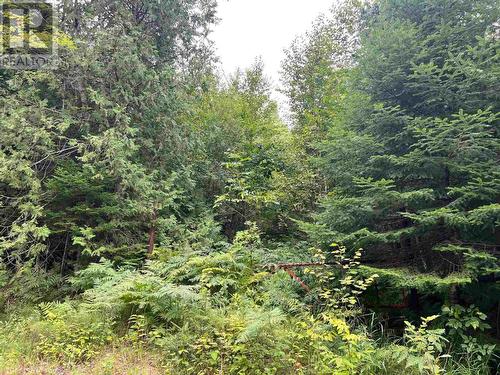 Pt Lot 5 Boat Launch Rd, Blind River, ON 