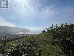 0 Gooseberry Cove  Gooseberry Cove, NL A0B 2Y0