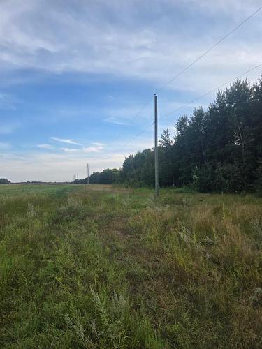 28036 1N Road, Tolstoi, MB 