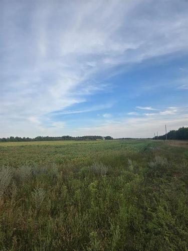 28036 1N Road, Tolstoi, MB 