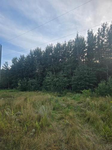 28036 1N Road, Tolstoi, MB 