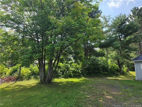 292 Nelson St, Miramichi, NB 