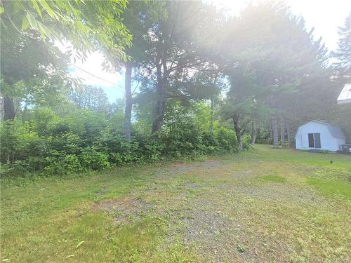 292 Nelson St, Miramichi, NB 