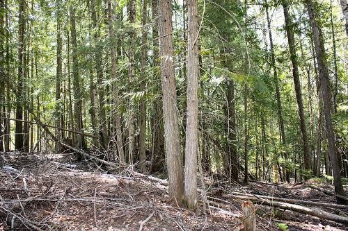 366 Caribou Creek Road, Burton, BC 