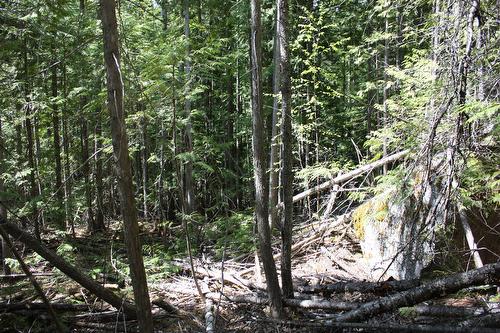366 Caribou Creek Road, Burton, BC 